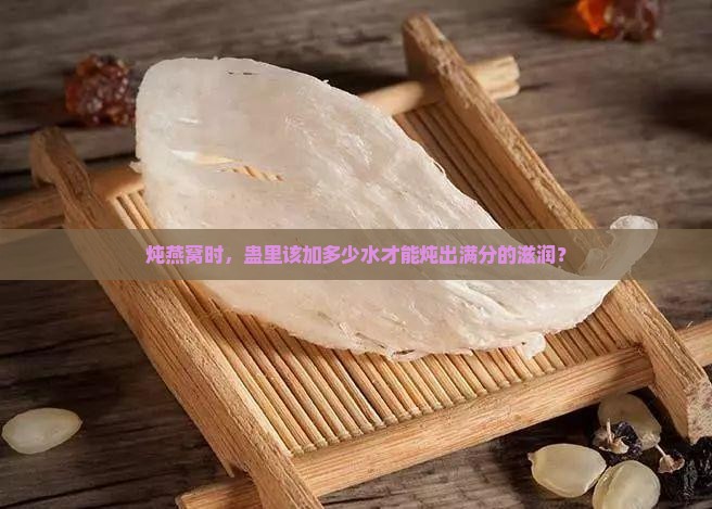 燕窝炖蛊内的水放多少