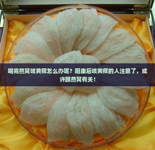 喝完燕窝咳黄痰怎么办呢