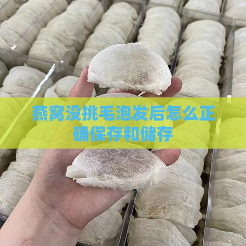燕窝泡发没挑毛怎么储存