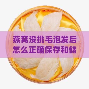 燕窝泡发没挑毛怎么储存