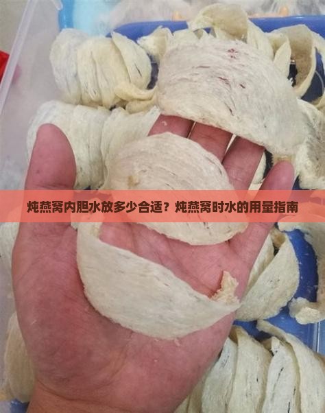 炖燕窝内胆水放多少合适