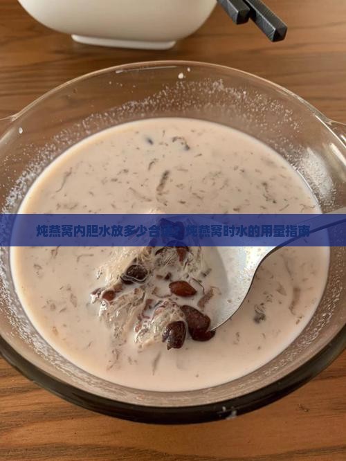 炖燕窝内胆水放多少合适
