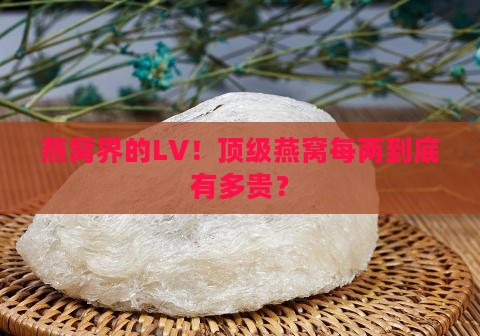燕窝一级的一两多少钱