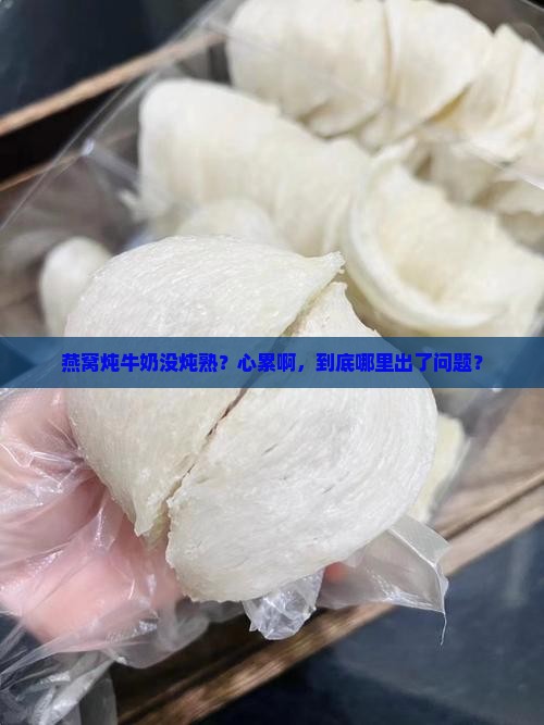 燕窝炖牛奶不熟怎么回事