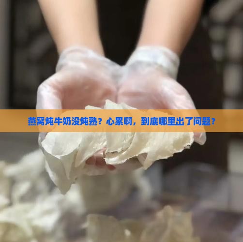 燕窝炖牛奶不熟怎么回事