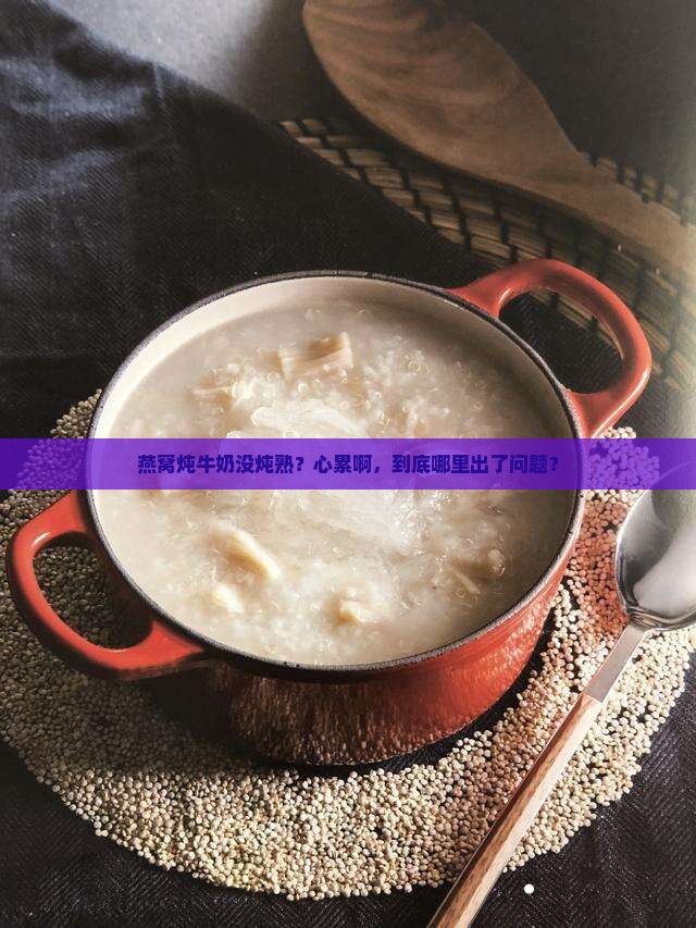 燕窝炖牛奶不熟怎么回事