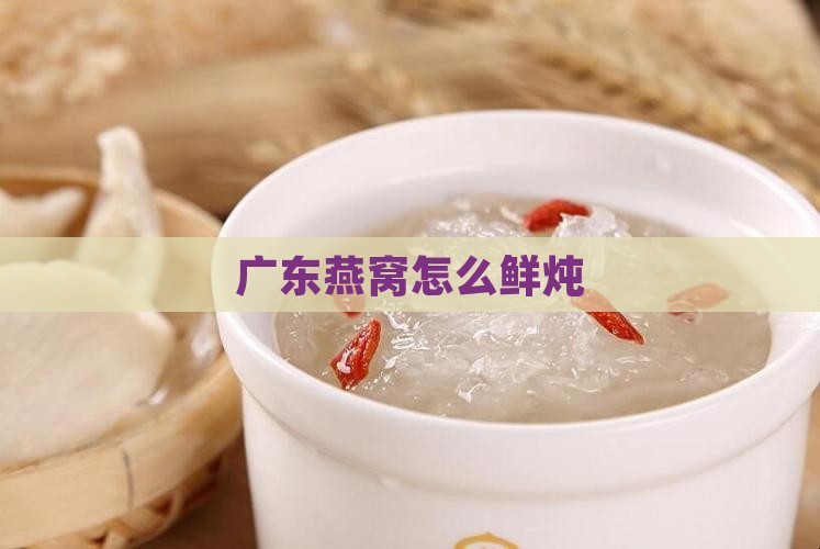 广东手工鲜炖燕窝怎么样