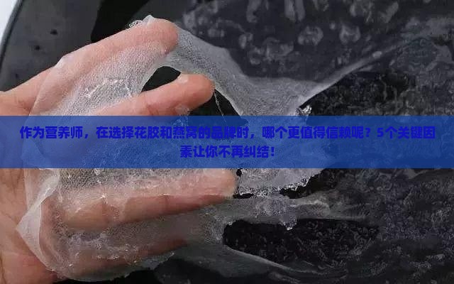花胶与燕窝品牌哪个好些