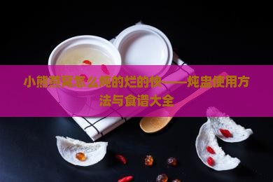 小熊燕窝怎么炖的烂的快