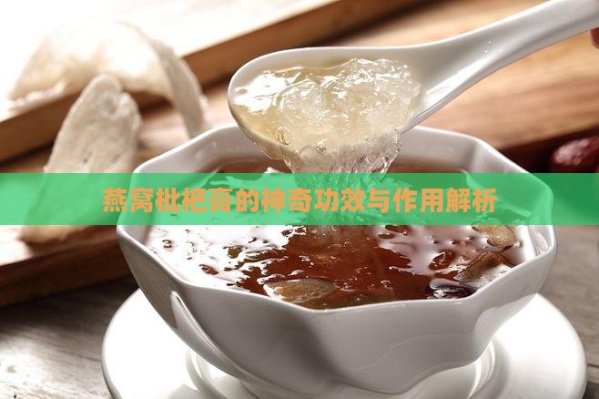 燕窝枇杷膏治什么病的