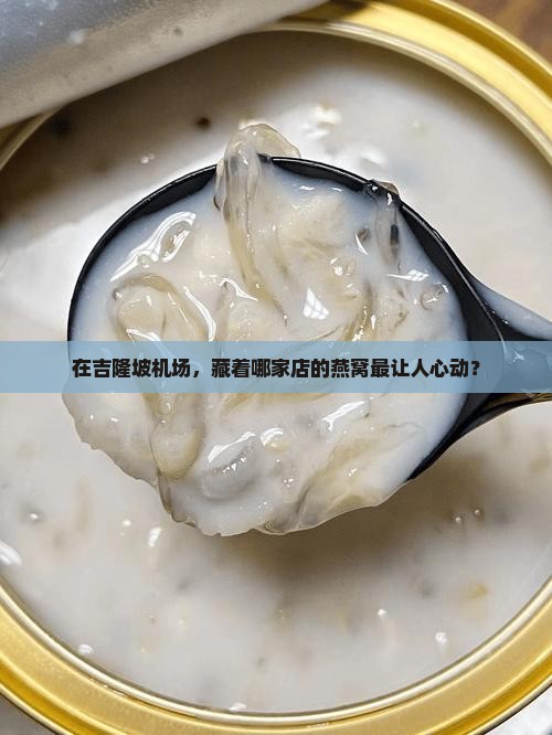 吉隆坡机场哪里卖燕窝