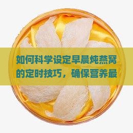 早上怎么定时炖燕窝最好