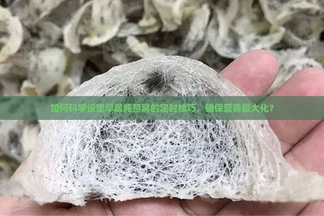 早上怎么定时炖燕窝最好