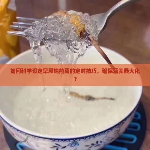 早上怎么定时炖燕窝最好