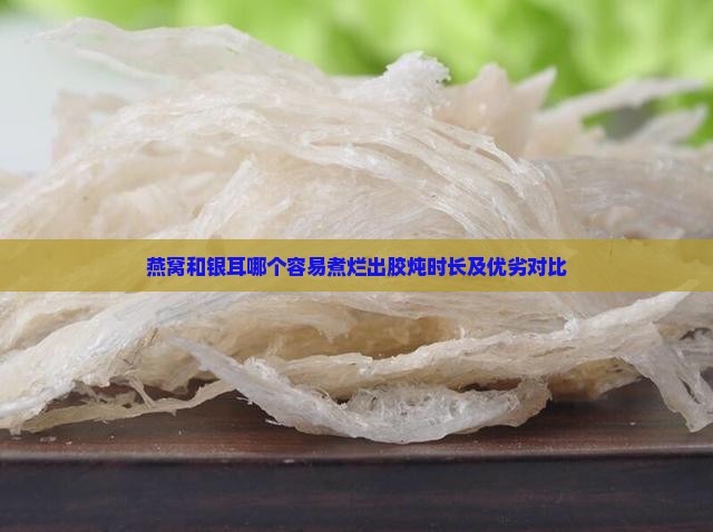燕窝和银耳哪个容易煮