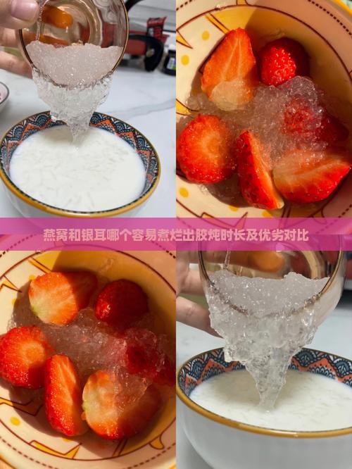 燕窝和银耳哪个容易煮