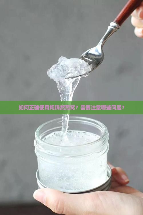 熬燕窝的炖锅怎么用的