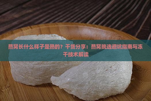燕窝长什么样子是熟的好