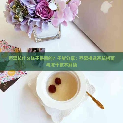 燕窝长什么样子是熟的好