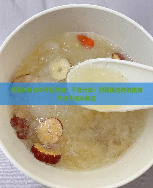 燕窝长什么样子是熟的好