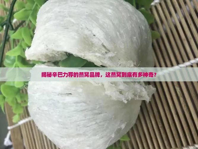 辛巴卖的哪个品牌的燕窝