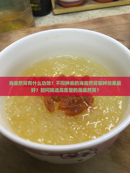 海底燕窝什么效果最好呢