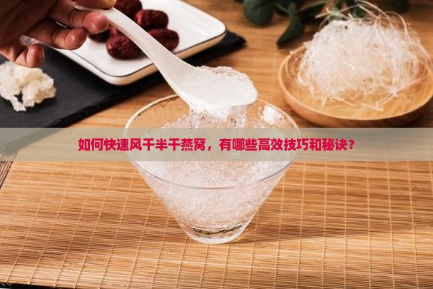 半干燕窝怎么风干的快