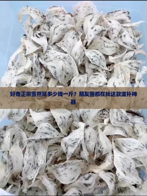 雪燕窝多少钱一斤正宗的