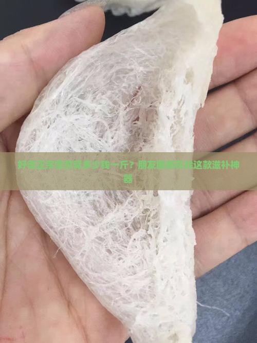 雪燕窝多少钱一斤正宗的