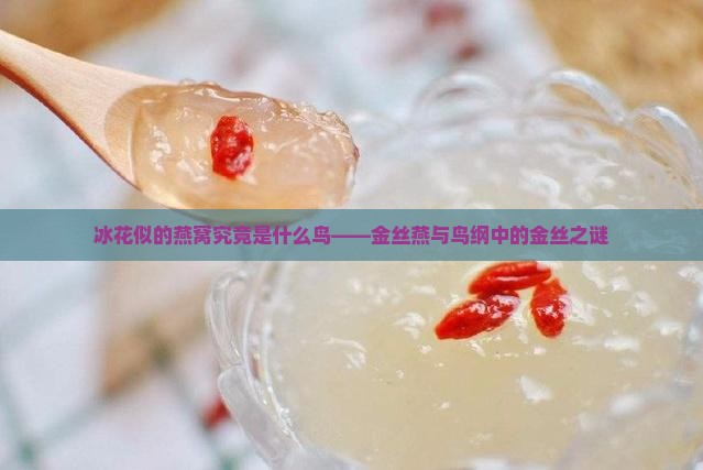 像冰花似的燕窝叫什么鸟