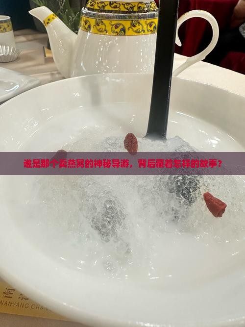 卖燕窝的导游叫什么来着