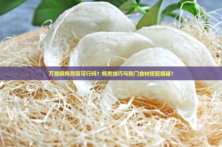 万能锅可炖燕窝嘛怎么用