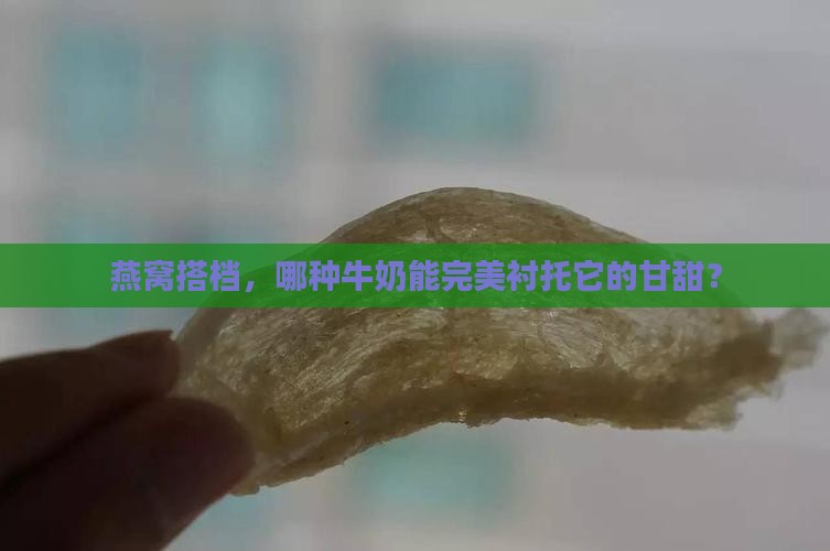 什么样的牛奶可以配燕窝