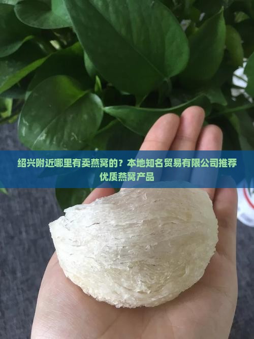 绍兴附近哪里有卖燕窝的