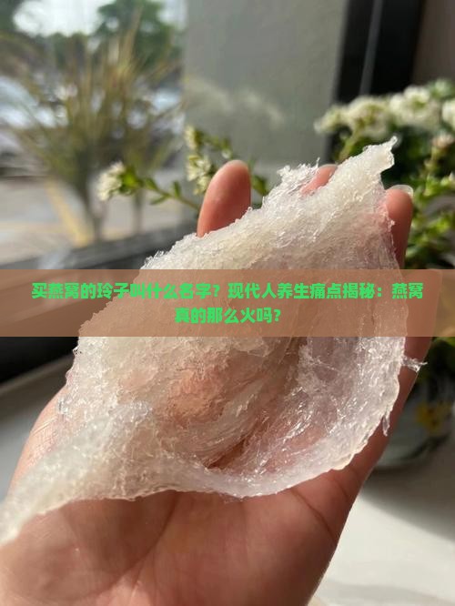 买燕窝的玲子叫什么名字
