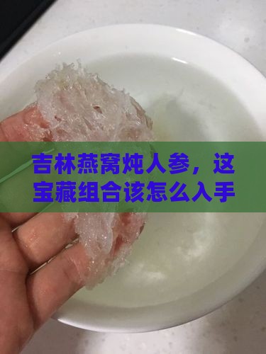 吉林燕窝炖人参怎么买