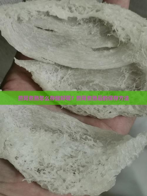 燕窝煮熟怎么存储好呢