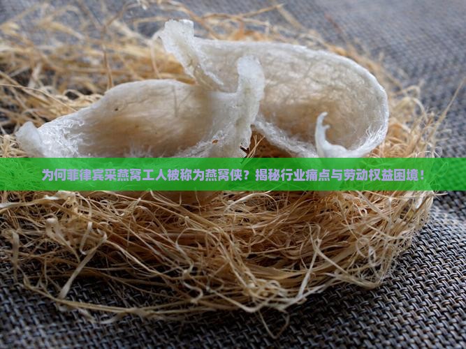 菲律宾采燕窝的人叫什么