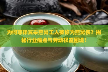 菲律宾采燕窝的人叫什么