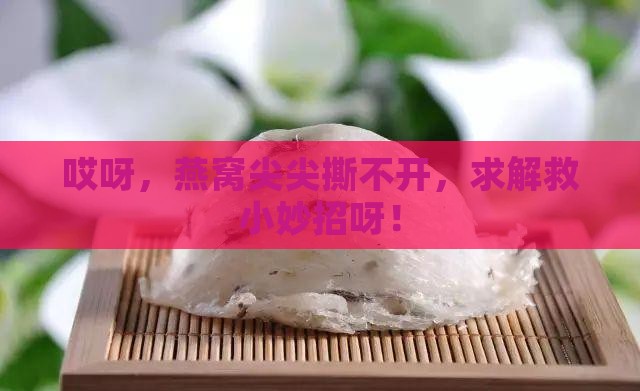 燕窝头部撕不开怎么办呀