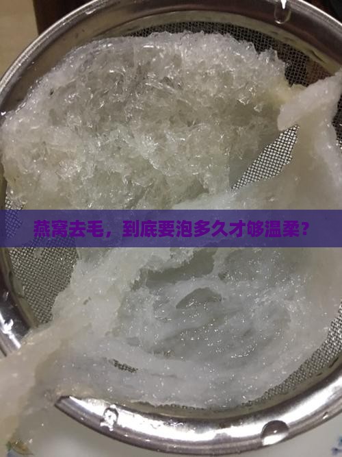 燕窝要泡多久才能去毛