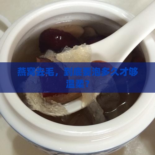 燕窝要泡多久才能去毛