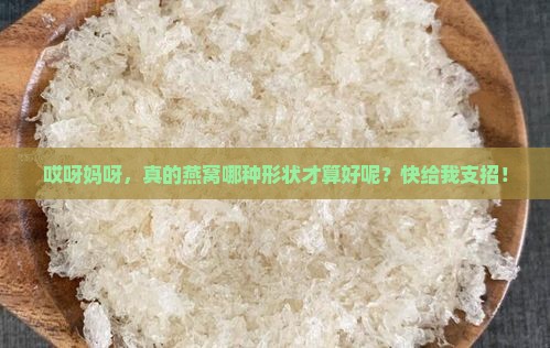 真的燕窝什么形状的好呢