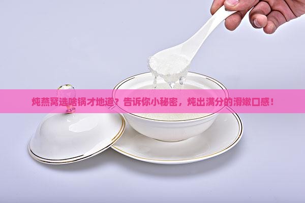燕窝用什么锅具炖比较好
