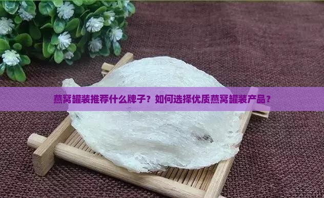 燕窝罐装推荐什么牌子