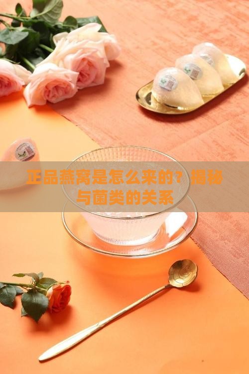 正品的竹燕窝怎么来的