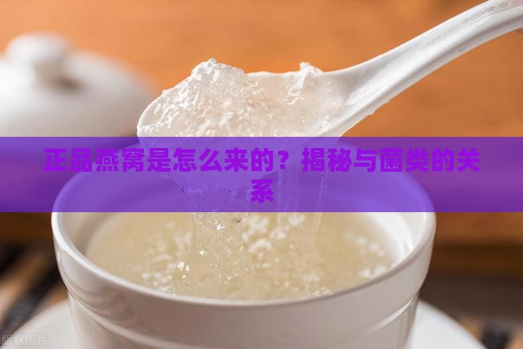 正品的竹燕窝怎么来的