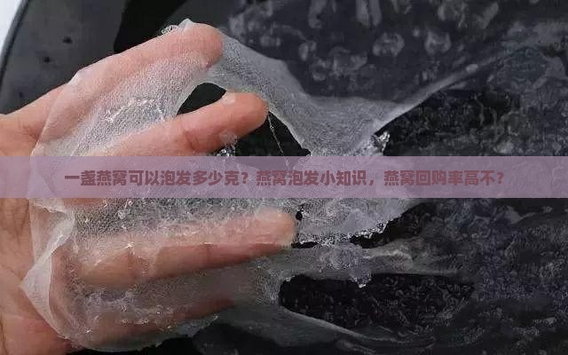 一盏燕窝可以泡发多少克
