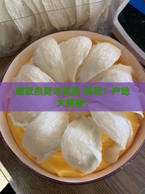 燕窝哪里产的最好最正宗