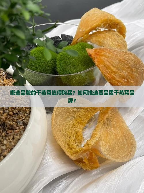 什么品牌的干燕窝推荐买 什么品牌的干燕窝推荐买